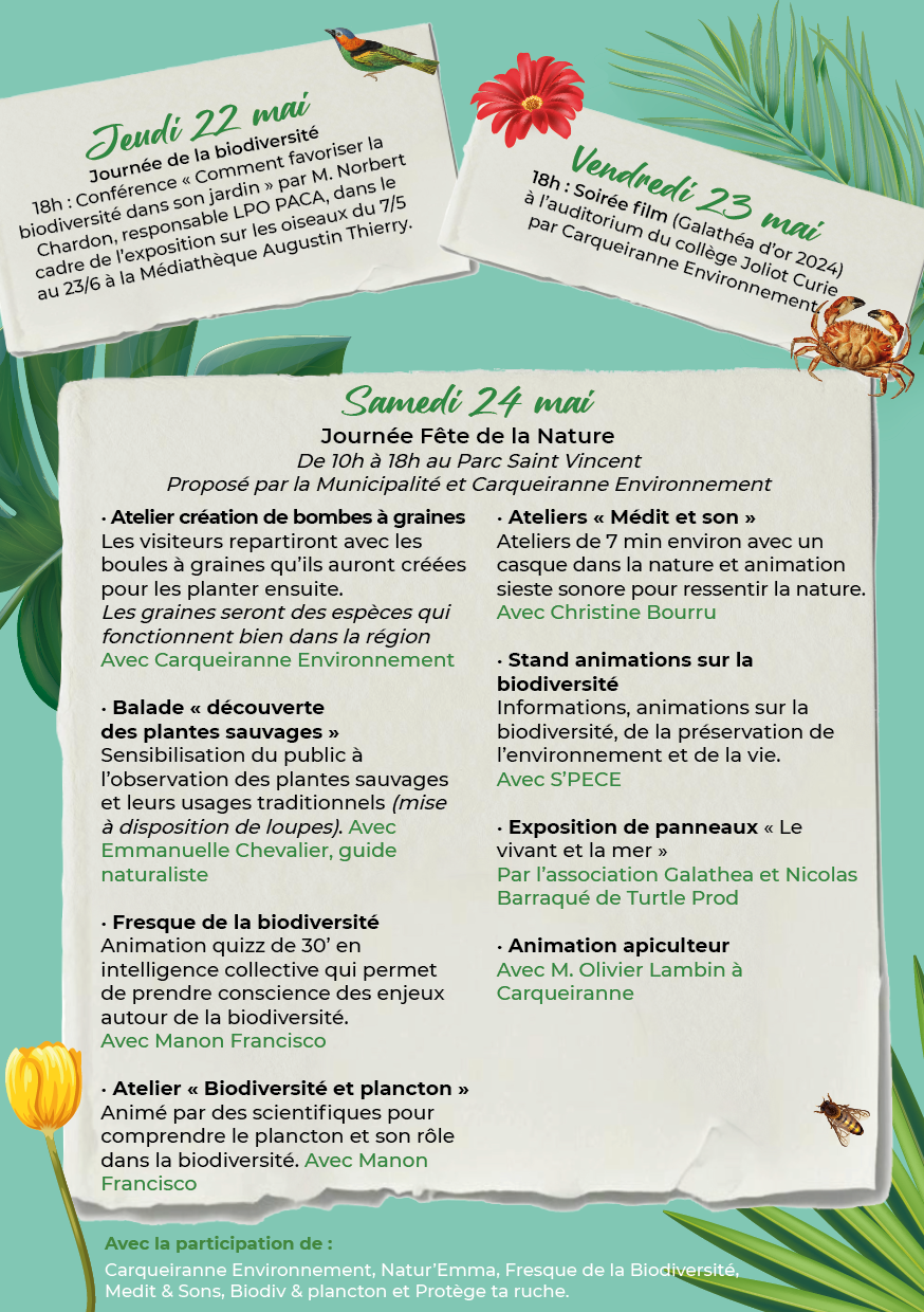 Agrandir l'image, .PNG 1,009 Ko (fenêtre modale)