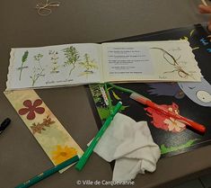 Photo d'une des créations d'herbier réalisé par un enfant participant à l'atelier - Agrandir l'image, .JPG 142 Ko (fenêtre modale)