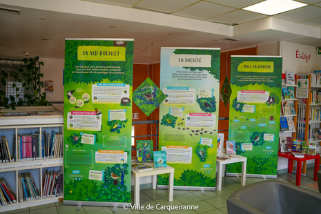 photo des panneaux de l’exposition « Observons les oiseaux » - Agrandir l'image, .PNG 2 Mo (fenêtre modale)