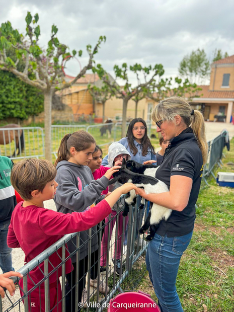 Agrandir l'image, .PNG 857 Ko (fenêtre modale)