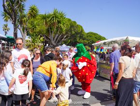 Agrandir l'image, .JPG 668,4 Ko (fenêtre modale)