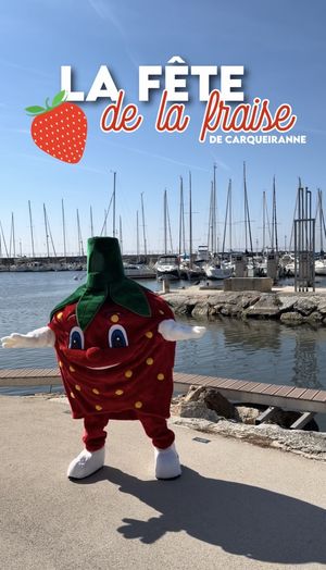 Agrandir l'image, .JPG 483 Ko (fenêtre modale)