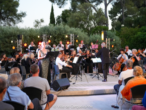 Photo prise de l'orchestre durant le spectacle dans l'auditorium - Agrandir l'image, .PNG 1,5 Mo (fenêtre modale)