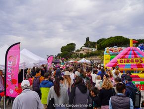 Agrandir l'image, .JPG 522,9 Ko (fenêtre modale)