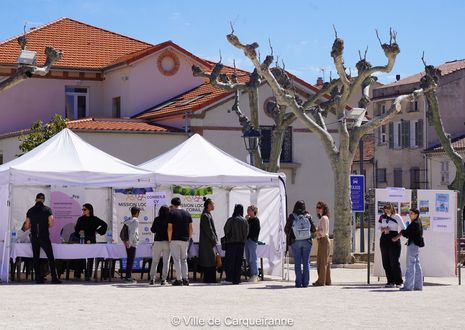 Agrandir l'image, .JPG 812 Ko (fenêtre modale)