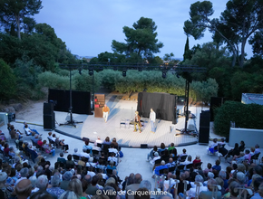 Photo prise durant le spectacle un grand cri d'amour qui s'est déroulé sur la scène de l'auditorium de clair-val - Agrandir l'image, .PNG 1,6 Mo (fenêtre modale)