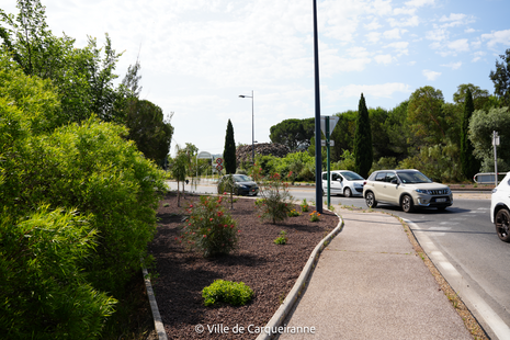 Photos des jardins secs abords du rond-point de la Diligence - Agrandir l'image, .PNG 2 Mo (fenêtre modale)