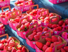 Agrandir l'image, .JPG 662,0 Ko (fenêtre modale)