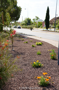 Photos des jardins secs abords du rond-point de la Diligence - Agrandir l'image, .PNG 915 Ko (fenêtre modale)