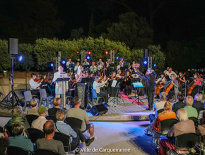 Photo prise de l'orchestre durant le spectacle dans l'auditorium - Agrandir l'image, .PNG 1,6 Mo (fenêtre modale)