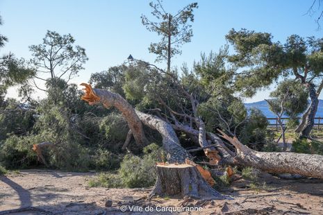 Agrandir l'image, .JPG 797 Ko (fenêtre modale)