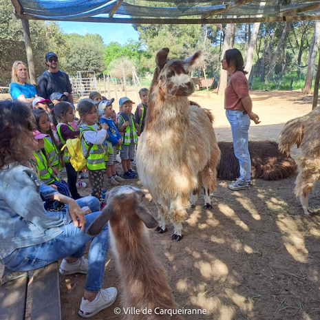 Agrandir l'image, .PNG 1 Mo (fenêtre modale)