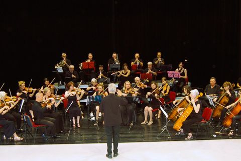 Photo de l'orchestre symphonique des musiciens du Fauvery