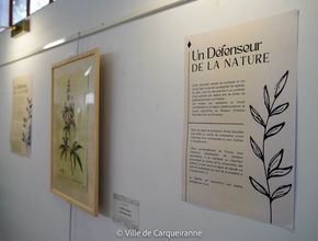 Agrandir l'image, .JPG 181,2 Ko (fenêtre modale)