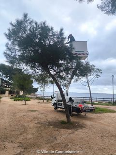 Agrandir l'image, .JPG 411 Ko (fenêtre modale)