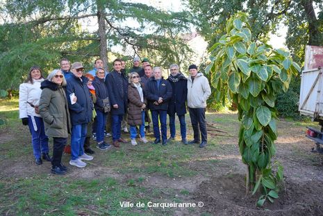 Agrandir l'image, .JPG 261 Ko (fenêtre modale)