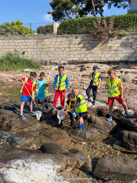 Agrandir l'image, .PNG 1 Mo (fenêtre modale)