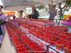 Agrandir l'image, .JPG 626,2 Ko (fenêtre modale)