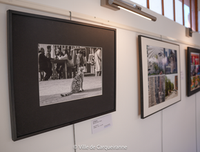 Photo de l'exposition sur le thème ambiance urbaine proposée par l'association photo club carqueirannais - Agrandir l'image, .PNG 1,013,3 Ko (fenêtre modale)