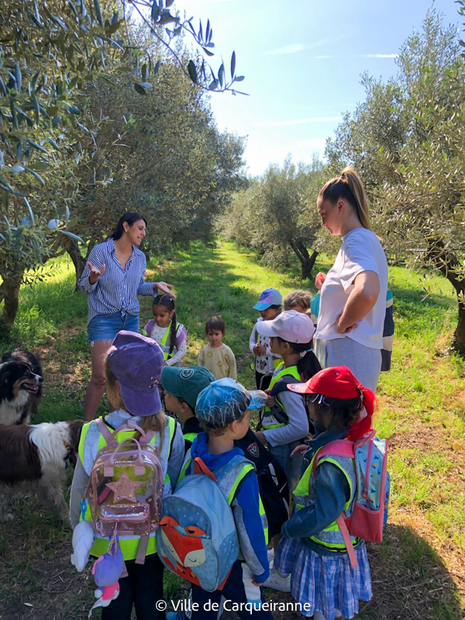 Agrandir l'image, .PNG 981 Ko (fenêtre modale)