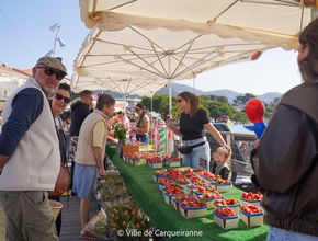 Agrandir l'image, .JPG 531,5 Ko (fenêtre modale)