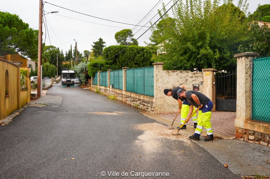 Agrandir l'image, .JPG 1 Mo (fenêtre modale)