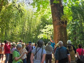 Agrandir l'image, .JPG 595,8 Ko (fenêtre modale)