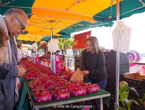 Agrandir l'image, .JPG 550,1 Ko (fenêtre modale)