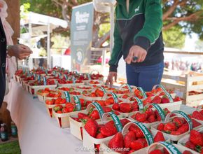 Agrandir l'image, .JPG 543,3 Ko (fenêtre modale)