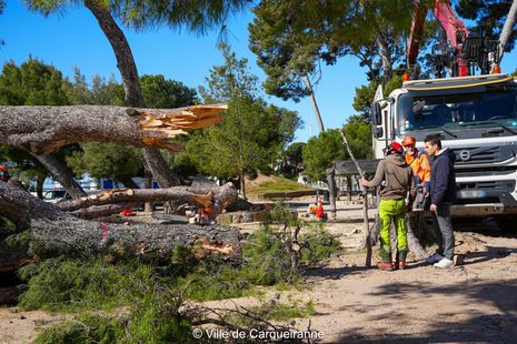 Agrandir l'image, .JPG 720 Ko (fenêtre modale)