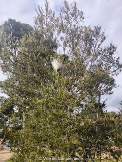 Agrandir l'image, .JPG 570 Ko (fenêtre modale)