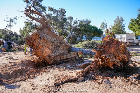 Agrandir l'image, .JPG 691 Ko (fenêtre modale)